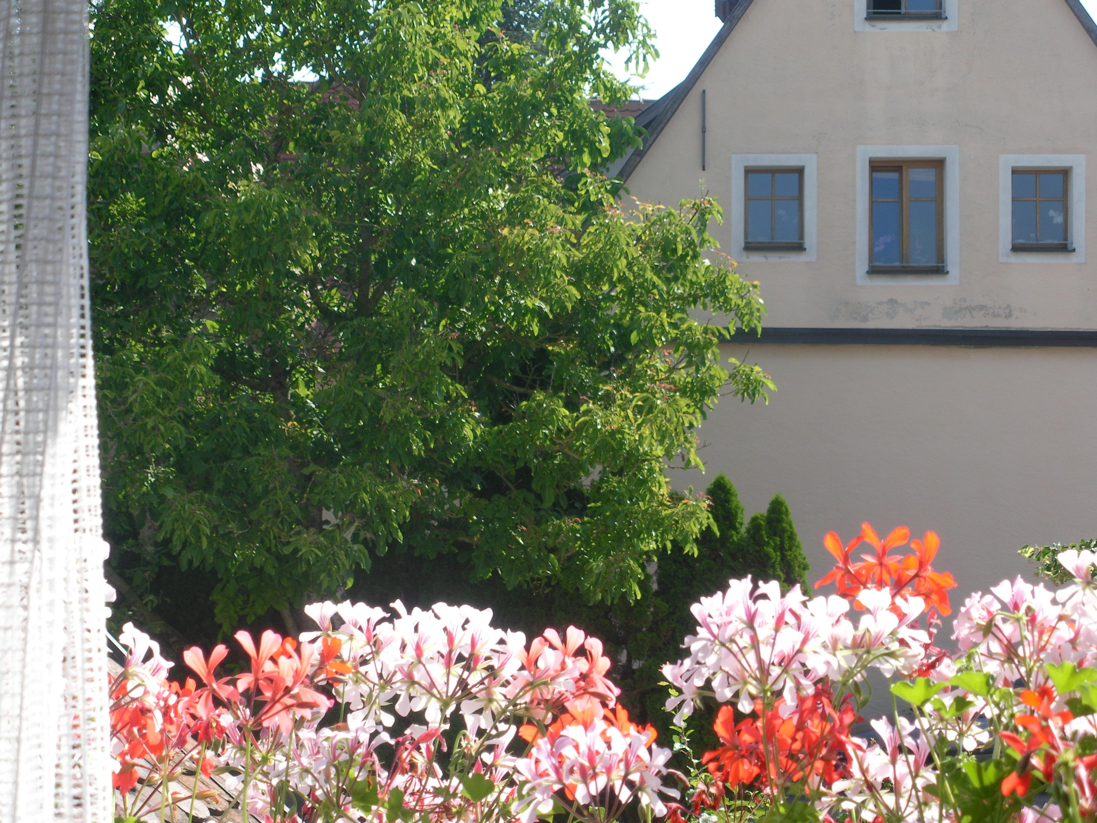 Akzent Hotel Schranne Rothenburg ob der Tauber Exterior photo