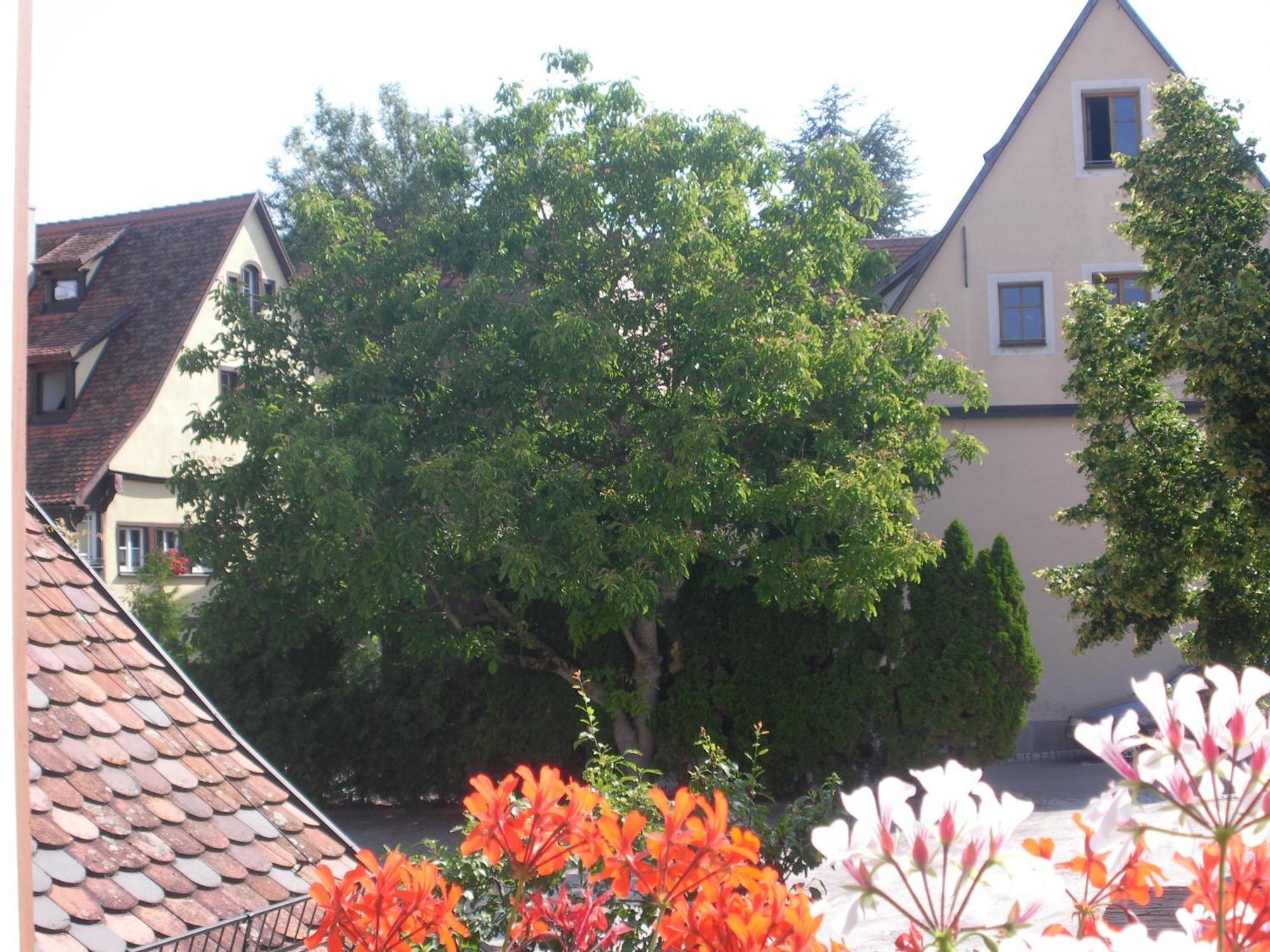 Akzent Hotel Schranne Rothenburg ob der Tauber Exterior photo